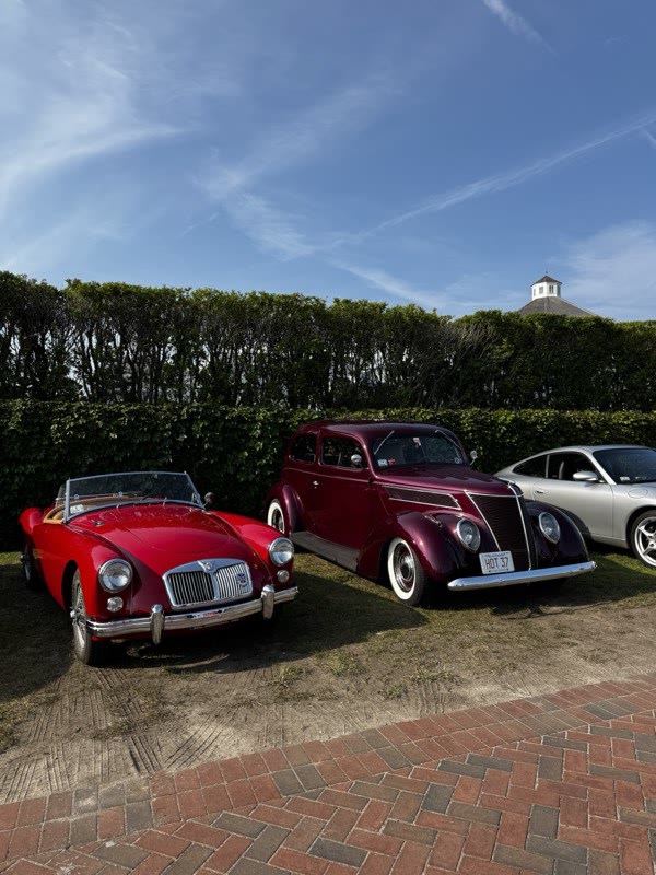 Red roadster, maroon sedan, and silver sports car along the hedge